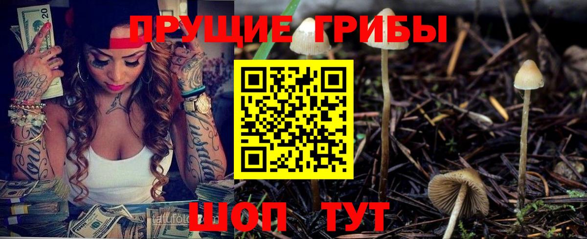 Галлюциногенные грибы Psilocybine cubensis  Вход с VPN  Улан-Удэ 